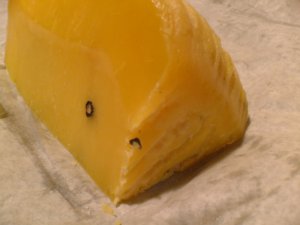 cheese